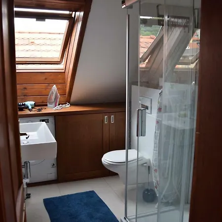 Mala Strana -piece And Quiet Apartment Prague